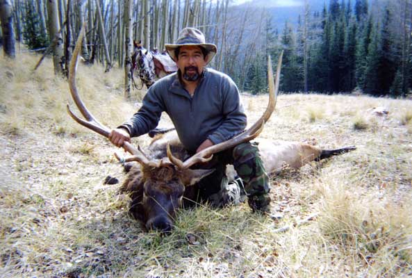 Elk Hunt Colorado