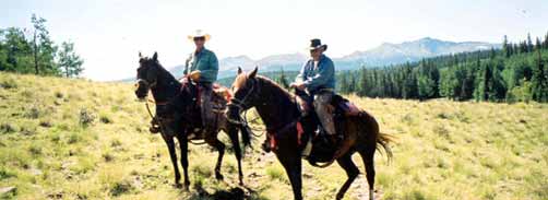 Colorado Elk Hunting